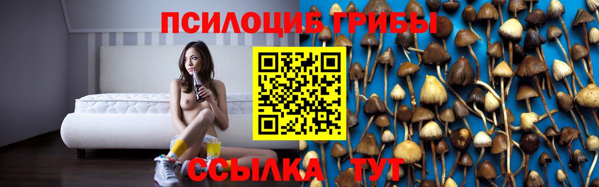 Миасс  Псилоцибиновые грибы мухоморы  Вход с VPN 